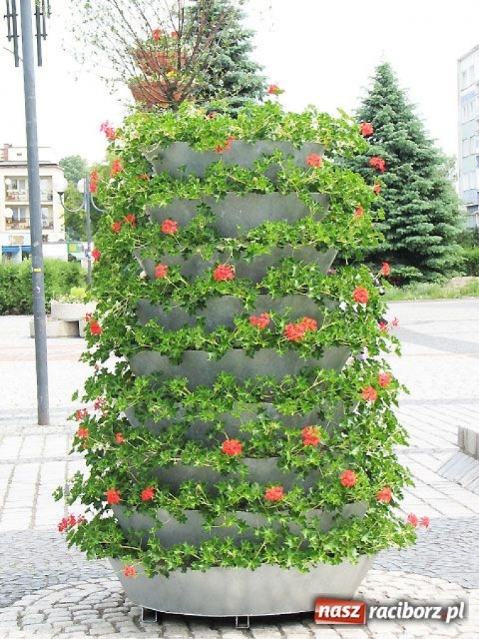 Zdjęcie w galerii na portalu naszraciborz.pl: Nie upiększajmy Rynku na siłę wiadomości z regionu