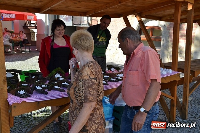 Zdjęcie w galerii na portalu naszraciborz.pl: Zamkowy piknik dla mam już za nami wiadomości z regionu