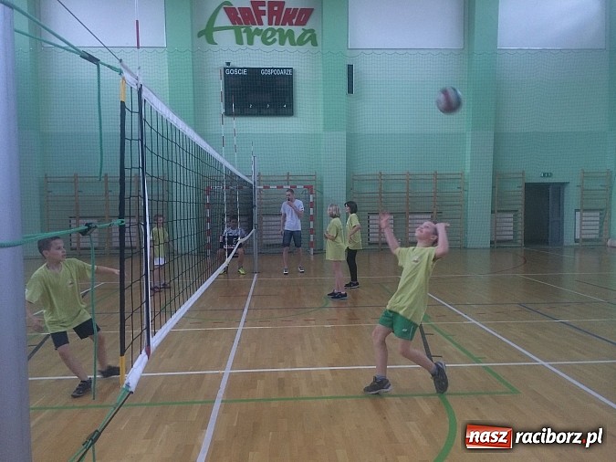 Zdjęcie w galerii na portalu naszraciborz.pl: AZS Rafako zorganizowało dwa turnieje siatkarskie wiadomości z regionu