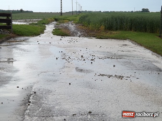 Zdjęcie w galerii na portalu naszraciborz.pl: Sobieskiego zalana drugi raz w ciągu doby  wiadomości z regionu