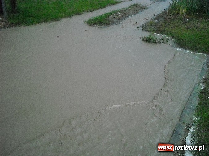 Zdjęcie w galerii na portalu naszraciborz.pl: Usuwali błoto z jezdni i pomagali w zabezpieczaniu posesji wiadomości z regionu