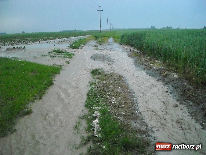 Zdjęcie w galerii na portalu naszraciborz.pl: Usuwali błoto z jezdni i pomagali w zabezpieczaniu posesji wiadomości z regionu