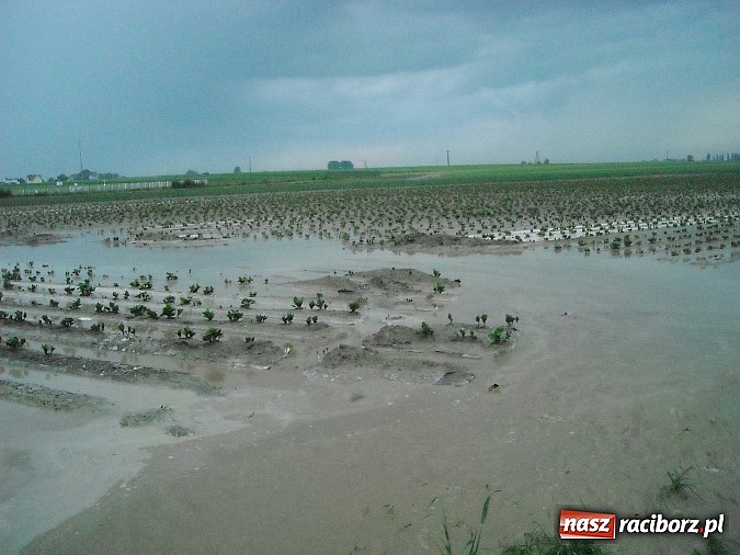 Zdjęcie w galerii na portalu naszraciborz.pl: Usuwali błoto z jezdni i pomagali w zabezpieczaniu posesji wiadomości z regionu