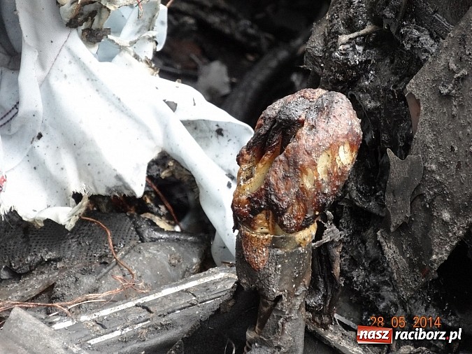 Zdjęcie w galerii na portalu naszraciborz.pl: Pożar garażu przy Częstochowskiej - zobacz wideo nadesłane przez Czytelnika wiadomości z regionu