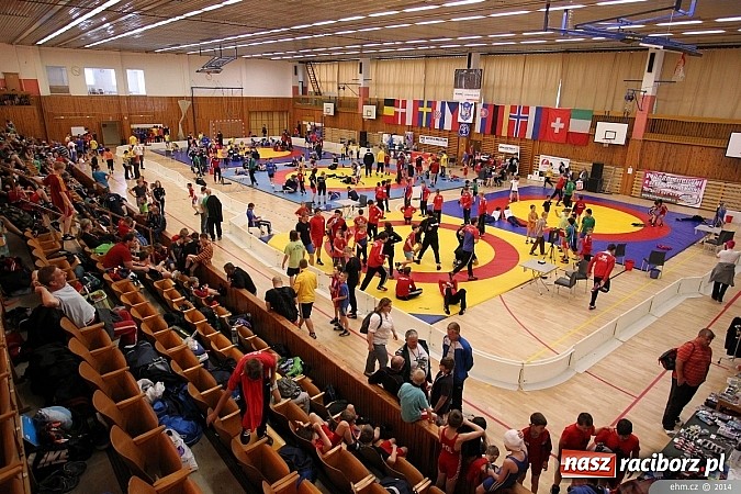 Zdjęcie w galerii na portalu naszraciborz.pl: Raciborscy zapaśnicy podbili Europę wiadomości z regionu