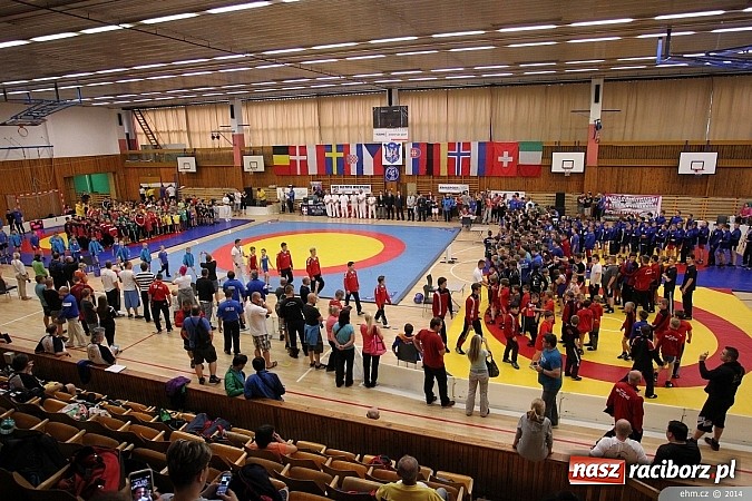 Zdjęcie w galerii na portalu naszraciborz.pl: Raciborscy zapaśnicy podbili Europę wiadomości z regionu