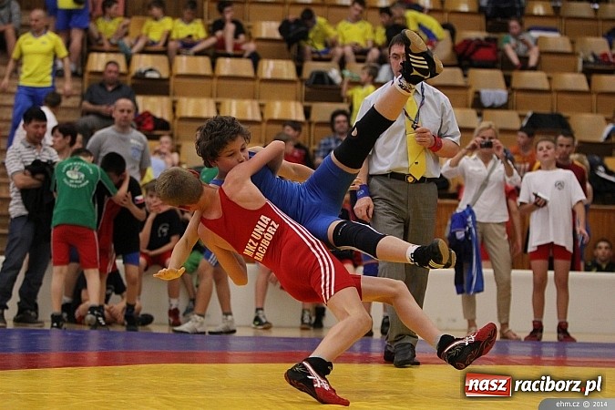 Zdjęcie w galerii na portalu naszraciborz.pl: Raciborscy zapaśnicy podbili Europę wiadomości z regionu