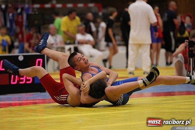 Zdjęcie w galerii na portalu naszraciborz.pl: Raciborscy zapaśnicy podbili Europę wiadomości z regionu