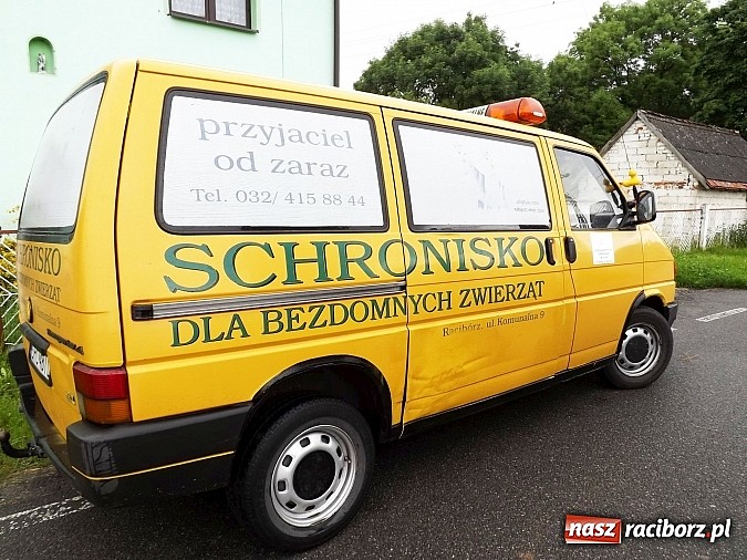 Zdjęcie w galerii na portalu naszraciborz.pl: Dramat psów w Krowiarkach! wiadomości z regionu