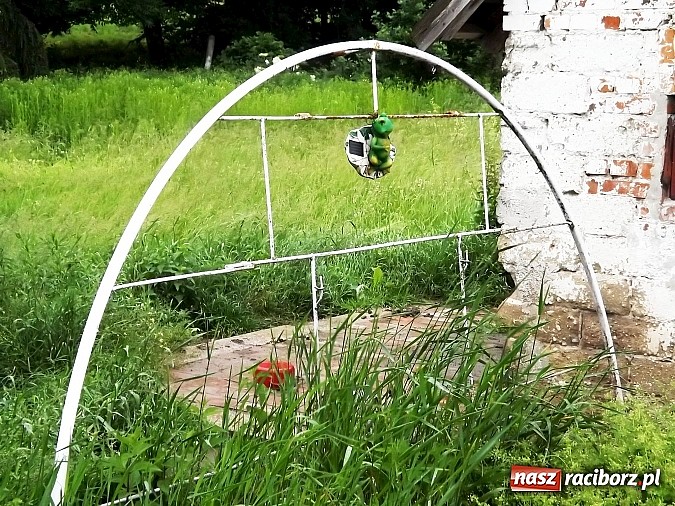 Zdjęcie w galerii na portalu naszraciborz.pl: Dramat psów w Krowiarkach! wiadomości z regionu