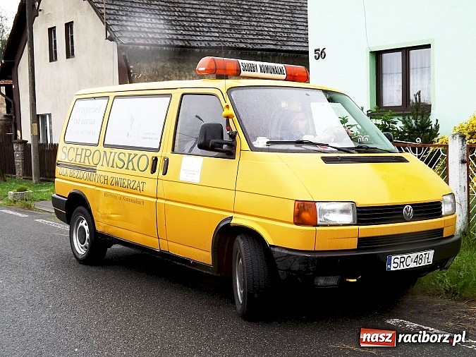 Zdjęcie w galerii na portalu naszraciborz.pl: Dramat psów w Krowiarkach! wiadomości z regionu