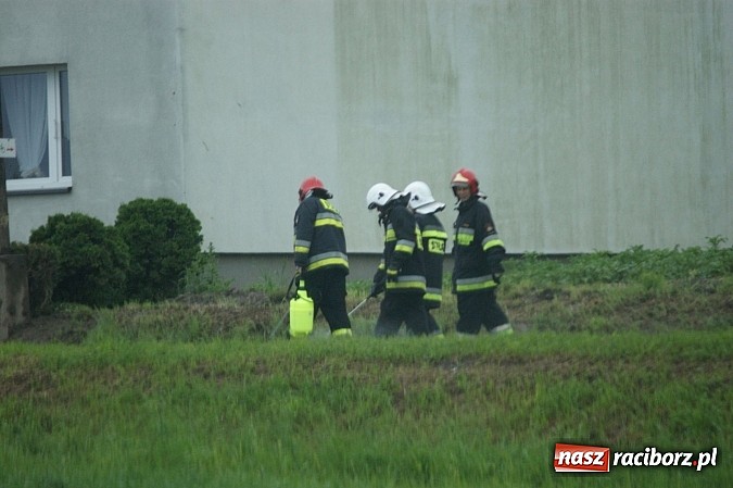 Zdjęcie w galerii na portalu naszraciborz.pl: Pełne ręce roboty strażak&oacute;w z powodu nieszczelnego baku wiadomości z regionu