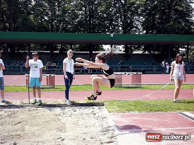Zdjęcie w galerii na portalu naszraciborz.pl: SP 15 po raz kolejny najlepsza wiadomości z regionu