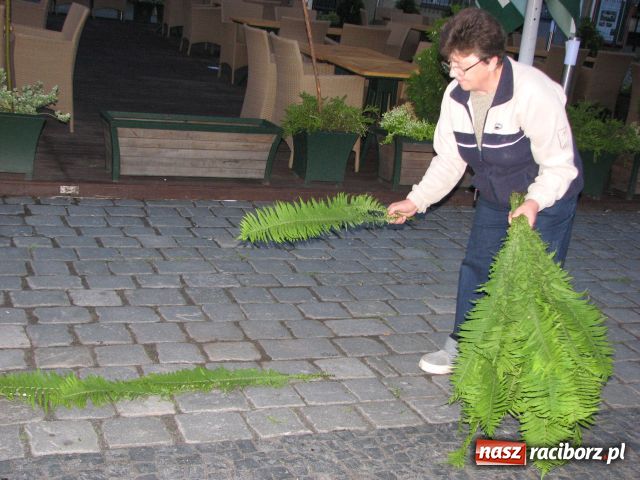 Zdjęcie w galerii na portalu naszraciborz.pl: Dywany z kwiatów odchodzą do lamusa? wiadomości z regionu
