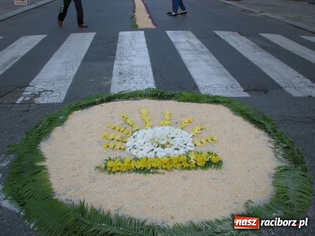 Zdjęcie w galerii na portalu naszraciborz.pl: Dywany z kwiatów odchodzą do lamusa? wiadomości z regionu