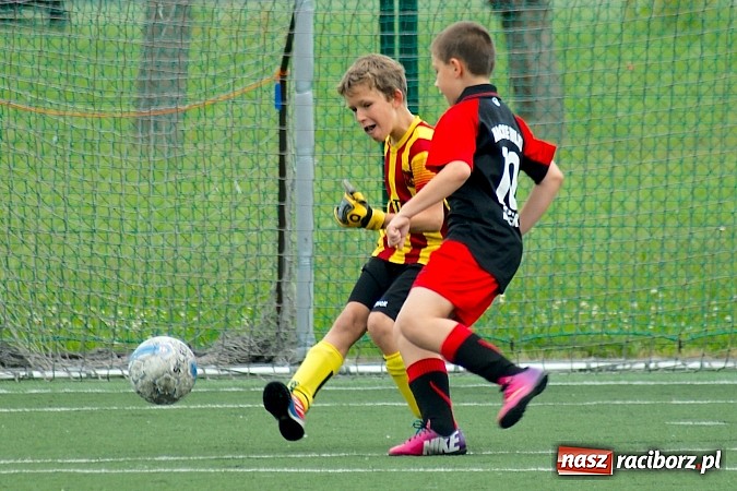 Zdjęcie w galerii na portalu naszraciborz.pl: Wolnik show w Tworkowie. Wypoczynek na kolanach wiadomości z regionu