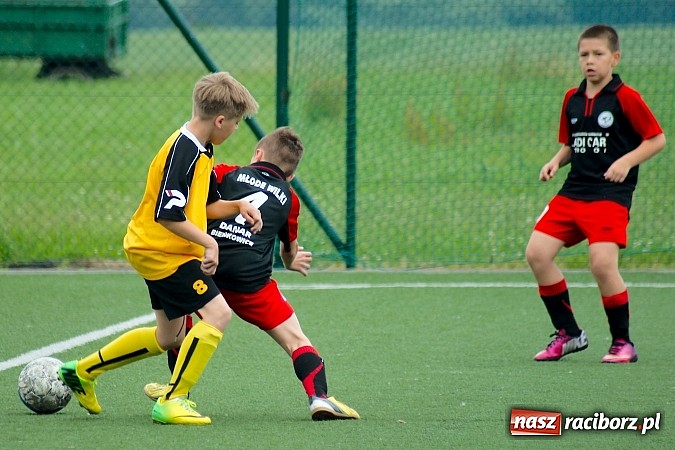 Zdjęcie w galerii na portalu naszraciborz.pl: Wolnik show w Tworkowie. Wypoczynek na kolanach wiadomości z regionu