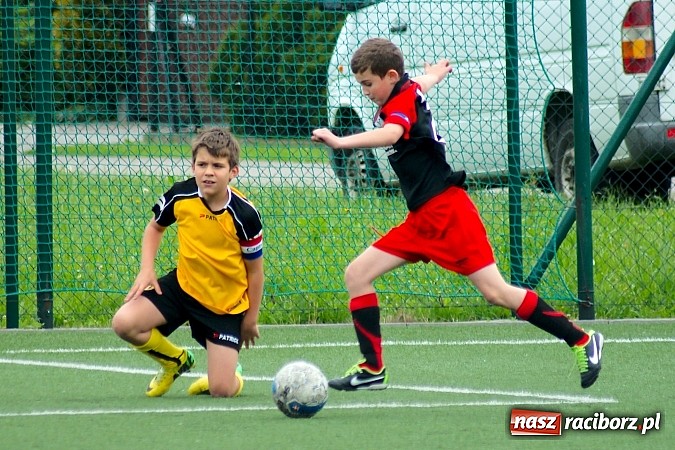Zdjęcie w galerii na portalu naszraciborz.pl: Wolnik show w Tworkowie. Wypoczynek na kolanach wiadomości z regionu