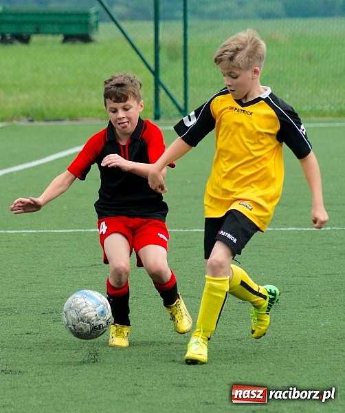 Zdjęcie w galerii na portalu naszraciborz.pl: Wolnik show w Tworkowie. Wypoczynek na kolanach wiadomości z regionu