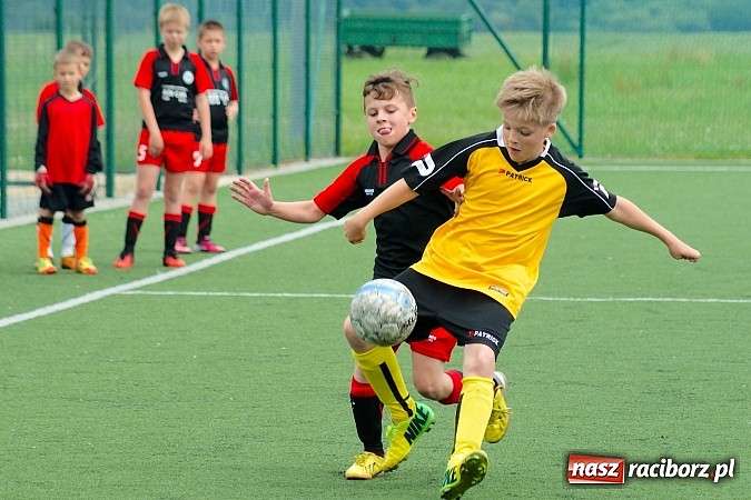 Zdjęcie w galerii na portalu naszraciborz.pl: Wolnik show w Tworkowie. Wypoczynek na kolanach wiadomości z regionu