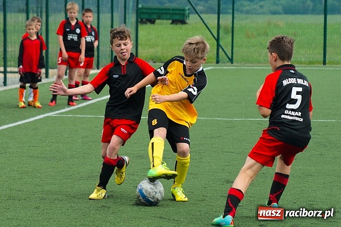 Zdjęcie w galerii na portalu naszraciborz.pl: Wolnik show w Tworkowie. Wypoczynek na kolanach wiadomości z regionu