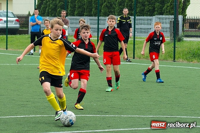 Zdjęcie w galerii na portalu naszraciborz.pl: Wolnik show w Tworkowie. Wypoczynek na kolanach wiadomości z regionu