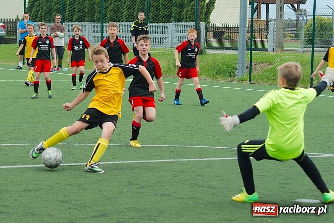 Zdjęcie w galerii na portalu naszraciborz.pl: Wolnik show w Tworkowie. Wypoczynek na kolanach wiadomości z regionu