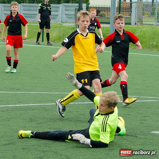 Zdjęcie w galerii na portalu naszraciborz.pl: Wolnik show w Tworkowie. Wypoczynek na kolanach wiadomości z regionu