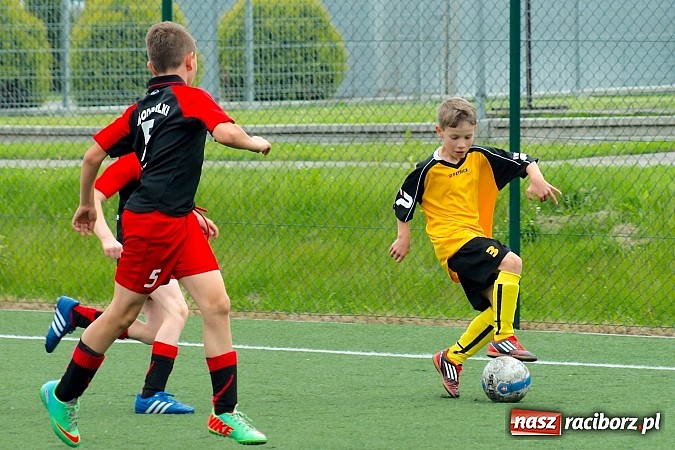 Zdjęcie w galerii na portalu naszraciborz.pl: Wolnik show w Tworkowie. Wypoczynek na kolanach wiadomości z regionu