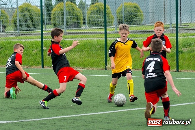 Zdjęcie w galerii na portalu naszraciborz.pl: Wolnik show w Tworkowie. Wypoczynek na kolanach wiadomości z regionu