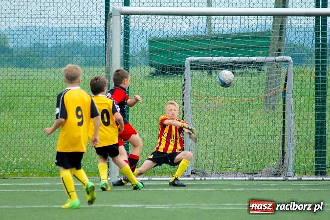 Zdjęcie w galerii na portalu naszraciborz.pl: Wolnik show w Tworkowie. Wypoczynek na kolanach wiadomości z regionu