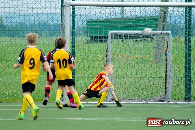 Zdjęcie w galerii na portalu naszraciborz.pl: Wolnik show w Tworkowie. Wypoczynek na kolanach wiadomości z regionu