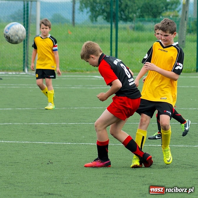 Zdjęcie w galerii na portalu naszraciborz.pl: Wolnik show w Tworkowie. Wypoczynek na kolanach wiadomości z regionu