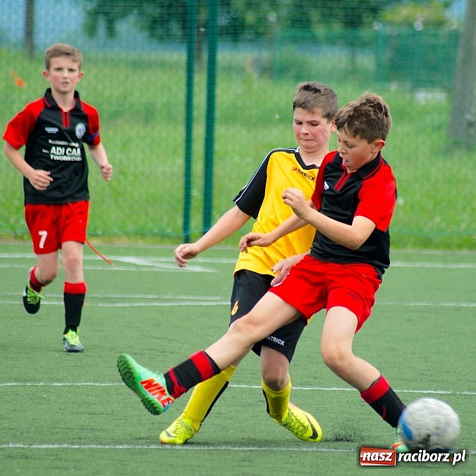 Zdjęcie w galerii na portalu naszraciborz.pl: Wolnik show w Tworkowie. Wypoczynek na kolanach wiadomości z regionu