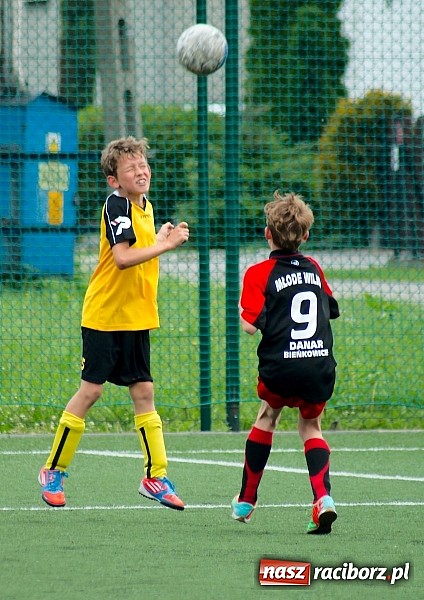 Zdjęcie w galerii na portalu naszraciborz.pl: Wolnik show w Tworkowie. Wypoczynek na kolanach wiadomości z regionu