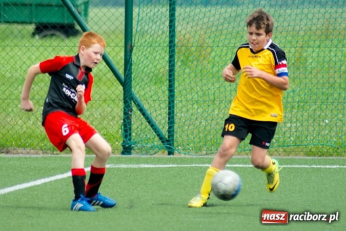 Zdjęcie w galerii na portalu naszraciborz.pl: Wolnik show w Tworkowie. Wypoczynek na kolanach wiadomości z regionu