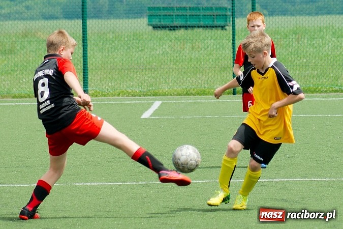 Zdjęcie w galerii na portalu naszraciborz.pl: Wolnik show w Tworkowie. Wypoczynek na kolanach wiadomości z regionu