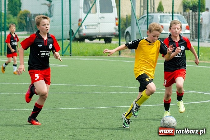 Zdjęcie w galerii na portalu naszraciborz.pl: Wolnik show w Tworkowie. Wypoczynek na kolanach wiadomości z regionu