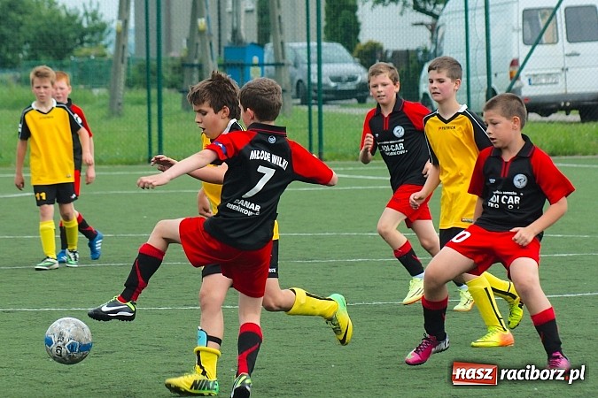 Zdjęcie w galerii na portalu naszraciborz.pl: Wolnik show w Tworkowie. Wypoczynek na kolanach wiadomości z regionu