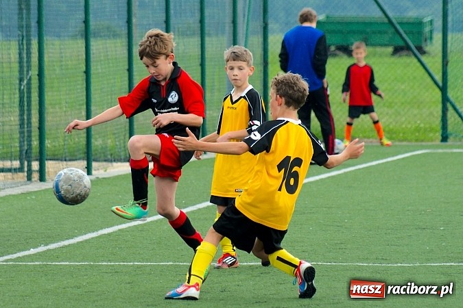 Zdjęcie w galerii na portalu naszraciborz.pl: Wolnik show w Tworkowie. Wypoczynek na kolanach wiadomości z regionu