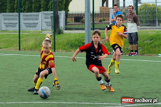 Zdjęcie w galerii na portalu naszraciborz.pl: Wolnik show w Tworkowie. Wypoczynek na kolanach wiadomości z regionu