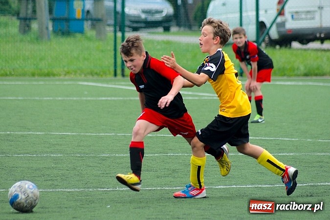 Zdjęcie w galerii na portalu naszraciborz.pl: Wolnik show w Tworkowie. Wypoczynek na kolanach wiadomości z regionu