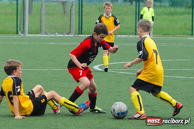 Zdjęcie w galerii na portalu naszraciborz.pl: Wolnik show w Tworkowie. Wypoczynek na kolanach wiadomości z regionu