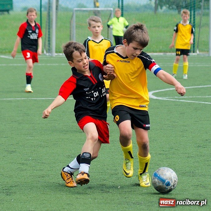 Zdjęcie w galerii na portalu naszraciborz.pl: Wolnik show w Tworkowie. Wypoczynek na kolanach wiadomości z regionu