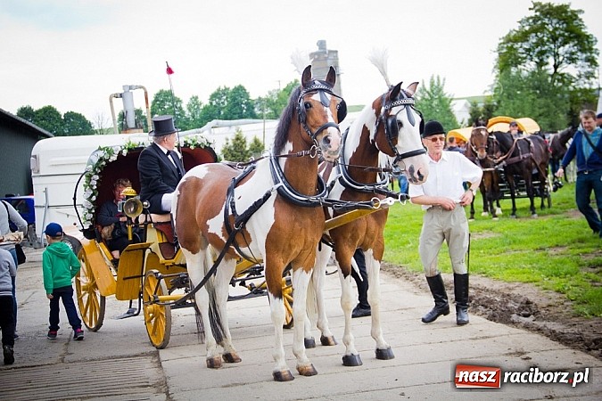 Zdjęcie w galerii na portalu naszraciborz.pl: Konna majówka w Pawłowie  wiadomości z regionu