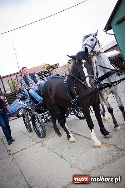 Zdjęcie w galerii na portalu naszraciborz.pl: Konna majówka w Pawłowie  wiadomości z regionu
