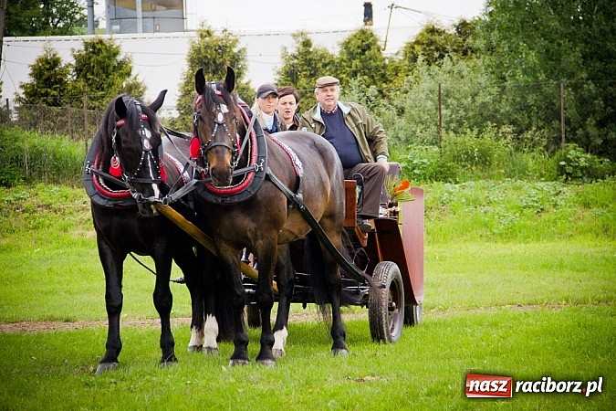 Zdjęcie w galerii na portalu naszraciborz.pl: Konna majówka w Pawłowie  wiadomości z regionu