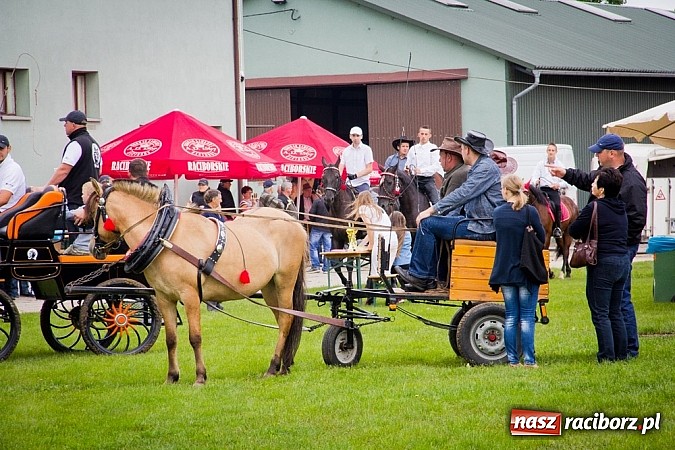 Zdjęcie w galerii na portalu naszraciborz.pl: Konna majówka w Pawłowie  wiadomości z regionu