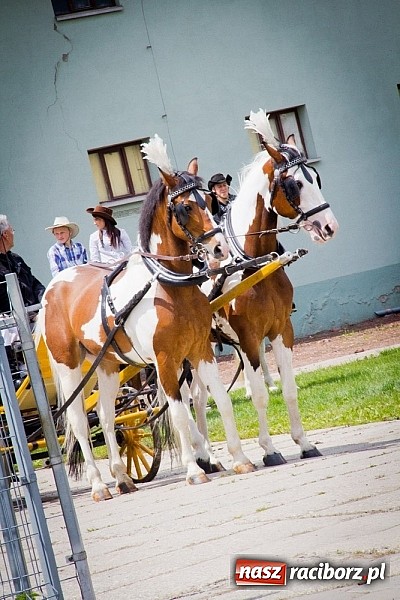 Zdjęcie w galerii na portalu naszraciborz.pl: Konna majówka w Pawłowie  wiadomości z regionu