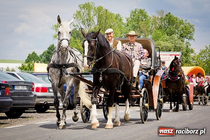 Zdjęcie w galerii na portalu naszraciborz.pl: Konna majówka w Pawłowie  wiadomości z regionu